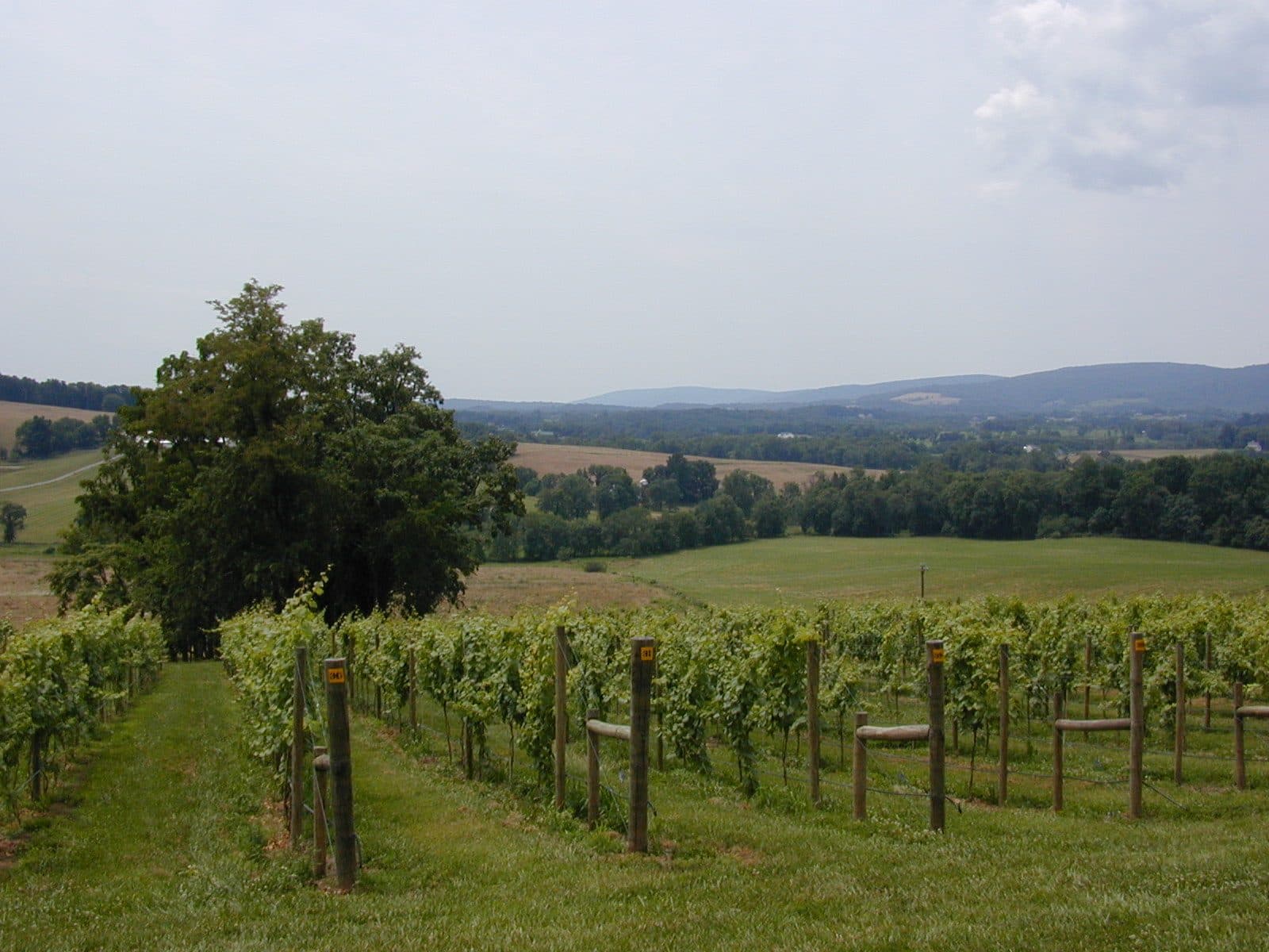 Breaux Vineyards
